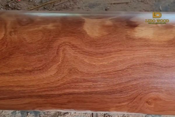 Đặc điểm nổi bật của Lim Campuchia