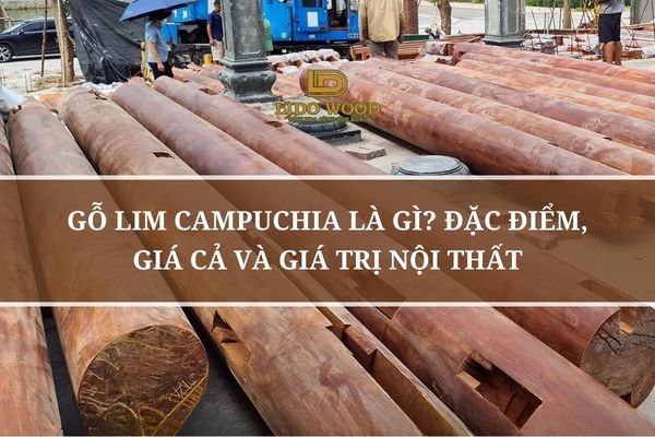 Gỗ Lim Campuchia Là Gì? Đặc Điểm, Giá Cả Và Giá Trị Nội Thất