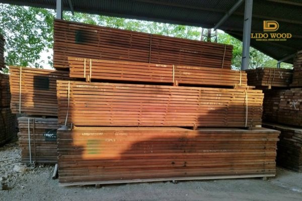 Đặc điểm của Lim IHC