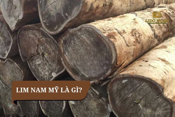Gỗ Lim Nam Mỹ là gì?