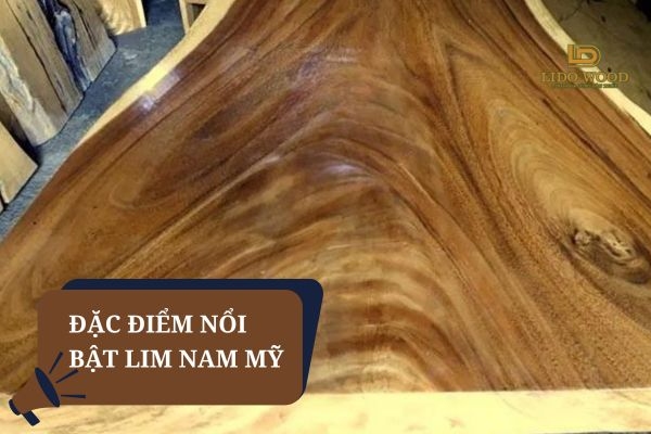 Đặc điểm nổi bật của gỗ