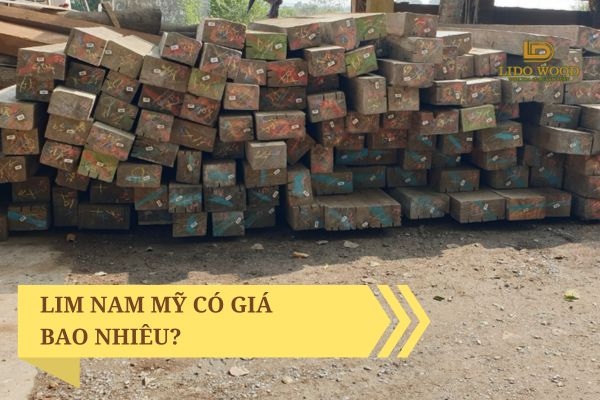 Lim Nam Mỹ có giá bao nhiêu?