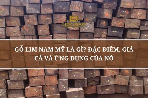 Gỗ Lim Nam Mỹ Là Gì? Đặc Điểm, Giá Cả và Ứng Dụng Của Nó