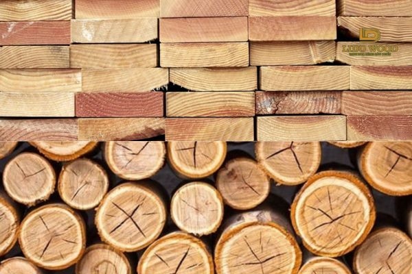 Đặc điểm của Lim Okan