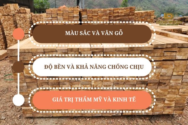 Đặc điểm nổi bật của Teak nhập khẩu Lào