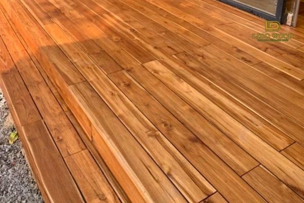 Bảng giá Teak Lào mới nhất 2025