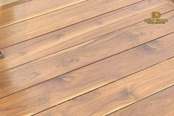 Gỗ Teak Nam Mỹ là gì?