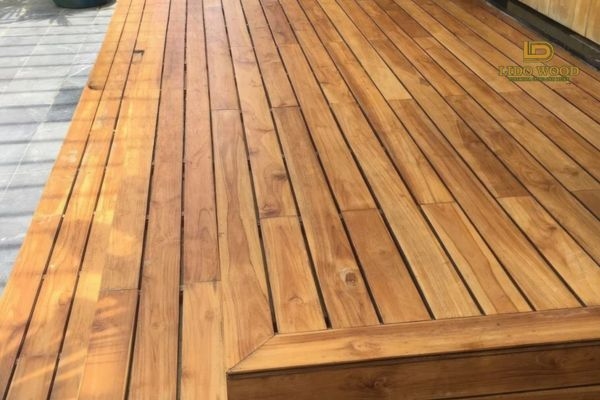 Gỗ Teak Nam Phi có khả năng thích ứng với môi trường