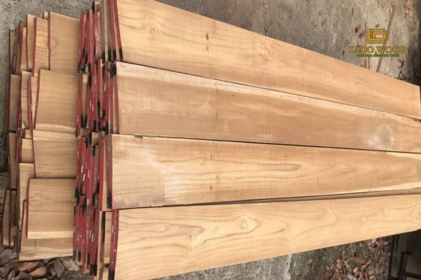 Gỗ Teak Tanzania là gì?