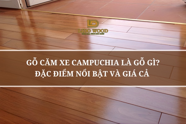 Gỗ Căm Xe Campuchia Là Gỗ Gì? Đặc Điểm Nổi Bật Và Giá Cả