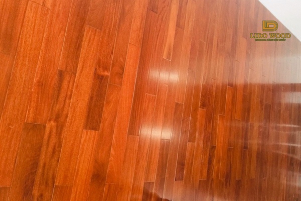 Gỗ căm xe Lào có tốt không?