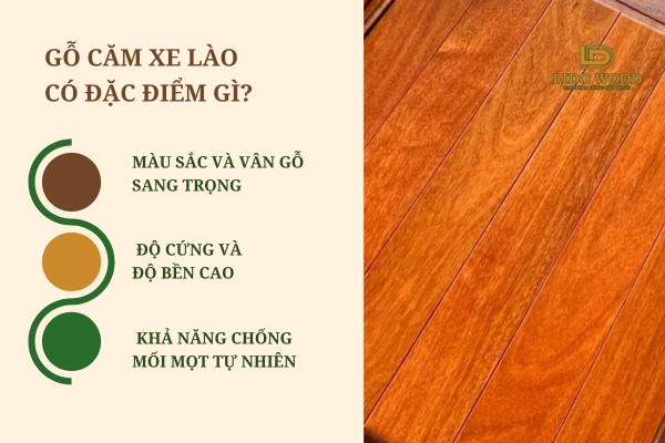 Đặc điểm nổi bật của gỗ