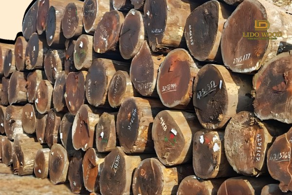 Bảng giá tham khảo