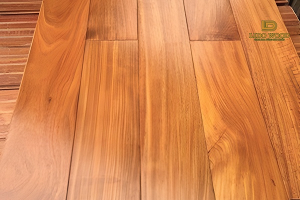 Giá căm xe Nam Phi