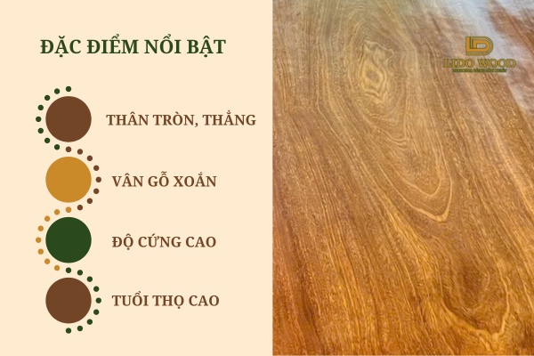 Đặc điểm của gỗ Lim nhập khẩu từ Châu Phi
