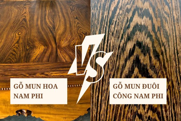 Mun Hoa Nam Phi khác gì với gỗ Mun Đuôi Công Nam Phi