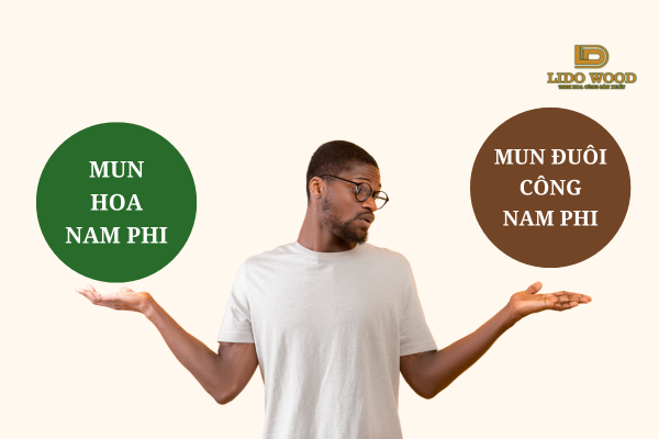 Bảng so sánh gỗ Mun Hoa và gỗ Mun Đuôi Công Nam Phi