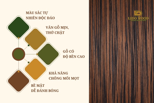 Đặc điểm nổi bật của gỗ