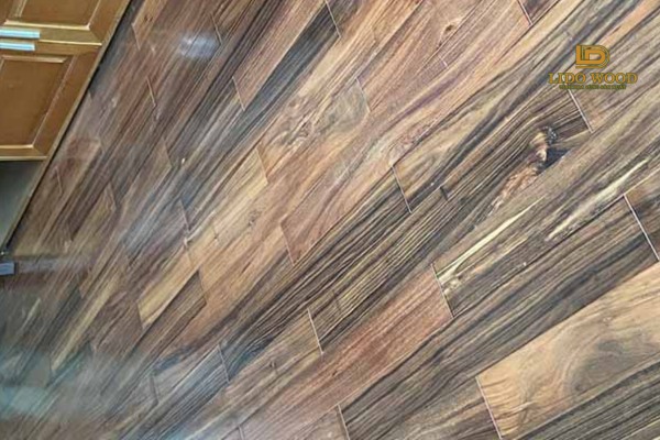 Gỗ Mun Nam Mỹ là gì?