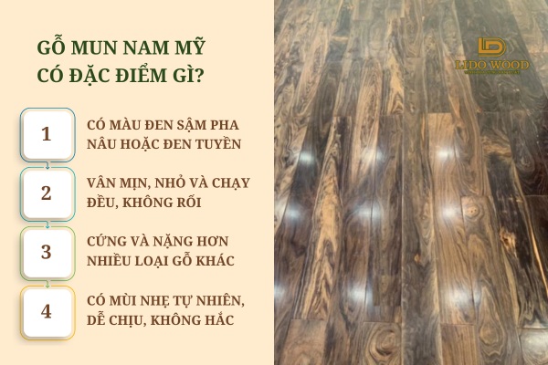Đặc điểm gỗ mun này