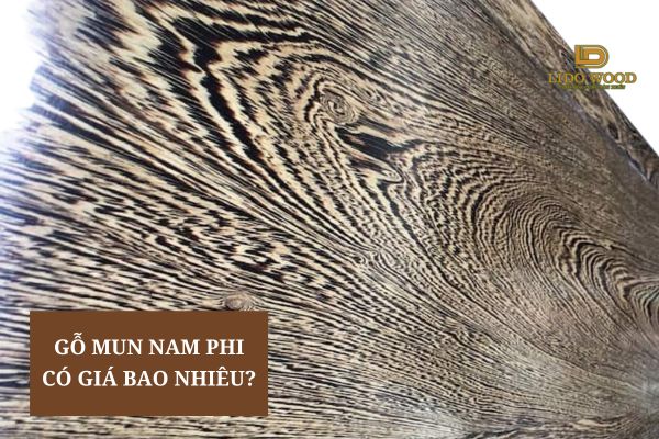 Mun Nam Phi có giá bao nhiêu?