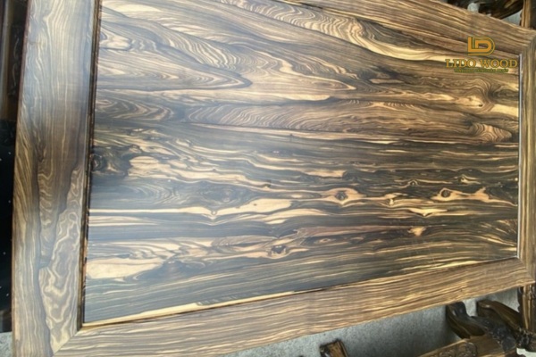 Đặc điểm nổi bật