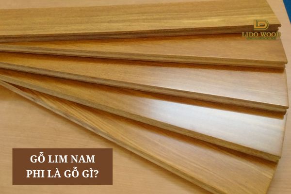 Gỗ Lim Nam Phi là gì?