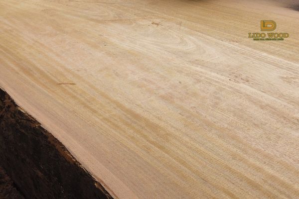 Vì sao nên chọn gỗ Lim Nam Phi?