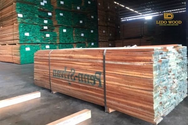 Đặc điểm nổi bật của anh đào Châu Âu