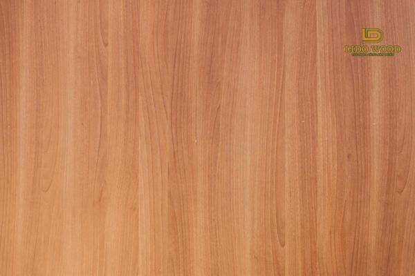 Giá tham khảo gỗ anh đào khu vực Nam Mỹ