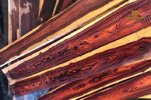 Đặc điểm nổi bật của gỗ cẩm Indonesia
