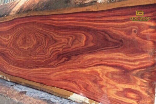 Cẩm lai Nam Phi là gỗ gì?