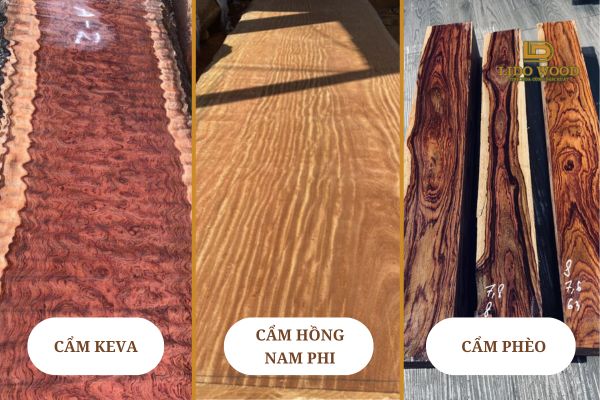 Gỗ cẩm Nam Phi có mấy loại?