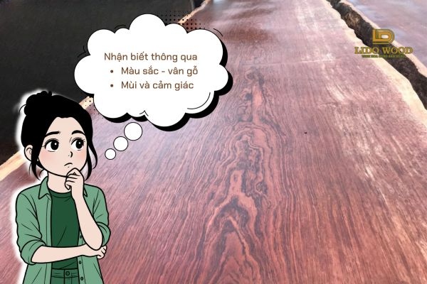 Cách nhận biết cẩm lai Nam Phi