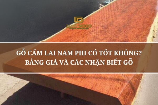 Gỗ Cẩm Lai Nam Phi Có Tốt Không? Bảng Giá Và Các Nhận Biết Gỗ