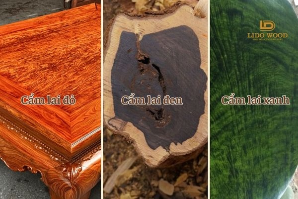 Gỗ cẩm lai có mấy loại?