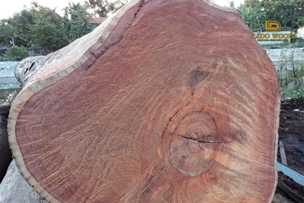 Đặc điểm của cẩm lai nhập khẩu