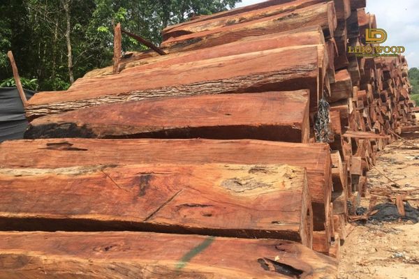Gỗ cẩm lai giá bao nhiêu 1kg?