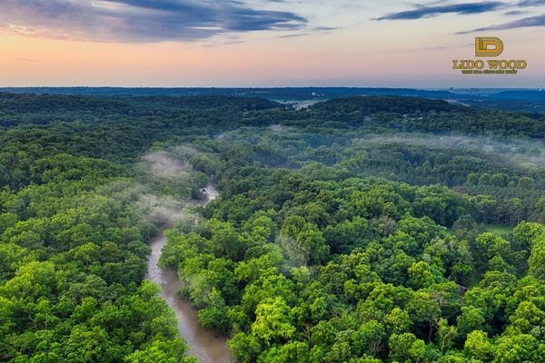 Nguồn gốc và điểm đặc biệt