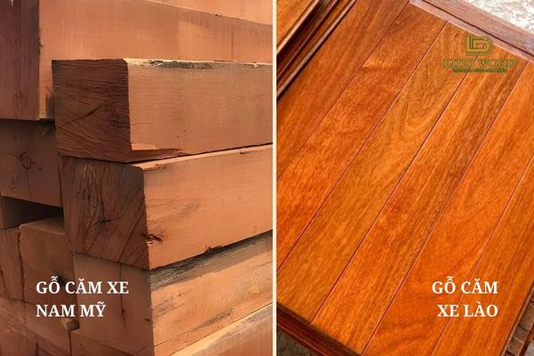 Các loại gỗ căm xe thông dụng