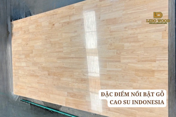 Đặc điểm nổi bật gỗ cao su Indonesia