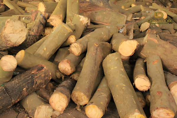 Bảng giá cao su Indonesia