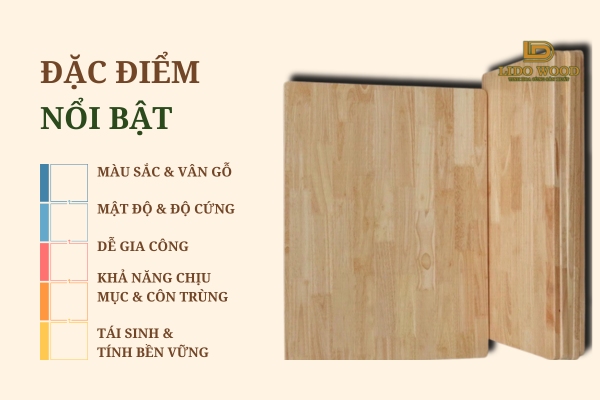 Đặc điểm nổi bật của gỗ cao su Malaysia nhập khẩu