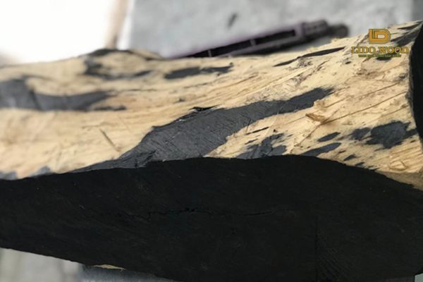 Gỗ mun nhập khẩu là gì?