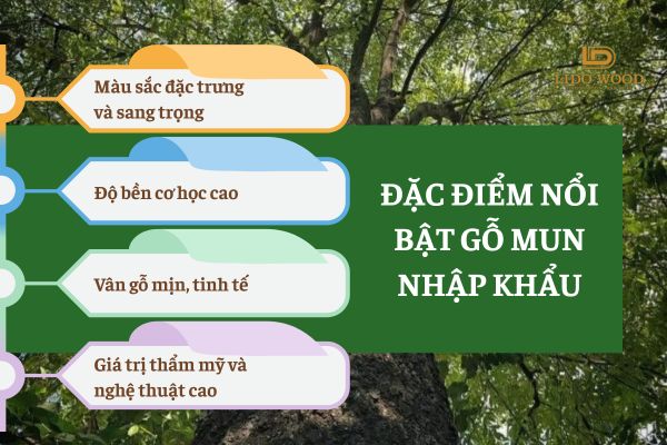 Đặc điểm nổi bật của gỗ mun nhập khẩu