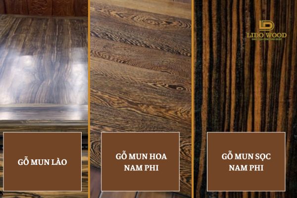 Các loại gỗ mun phổ biến