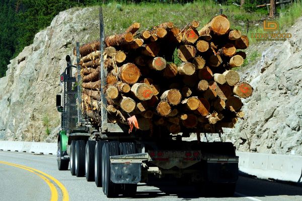 Cách bảo quản gỗ mun nhập khẩu này