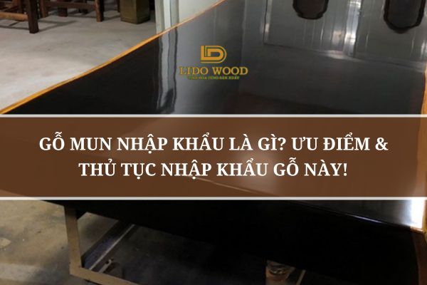 Gỗ Mun Nhập Khẩu Là Gì? Ưu Điểm & Thủ Tục Nhập Khẩu Gỗ Này!