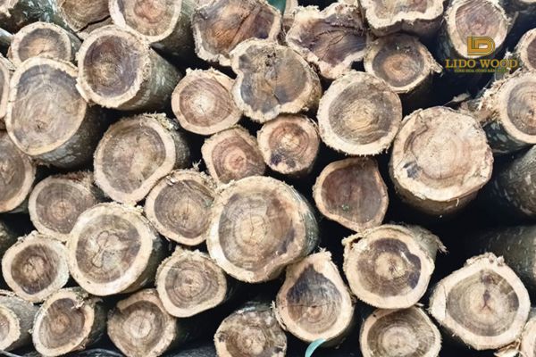 Bảng giá gỗ keo lai