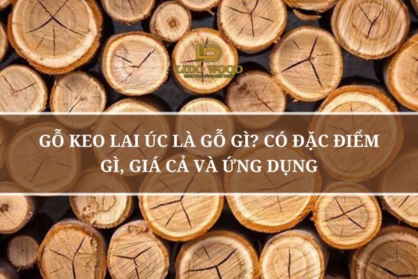 Gỗ Keo Lai Úc Là Gỗ Gì? Có Đặc Điểm Gì, Giá Cả Và Ứng Dụng